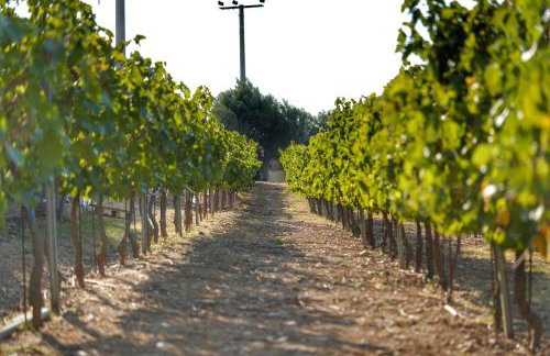 Villa Evinoi - Foto 35