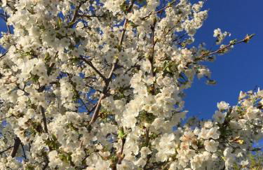 Happy hill - appartamento Bambù- natura e relax - Photo 58