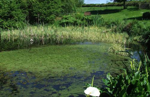 Glascoed Farmhouse Whitland - Foto 18