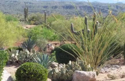 Rio Rancho Verde Two Bedroom Suite - Foto 46