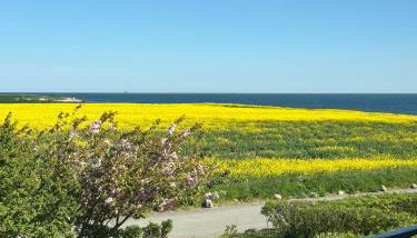 Quartier Strandblick Staberdorf - 2 Balkone mit Meerblick - Foto 5