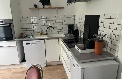 Au bord du gave - Foto 7