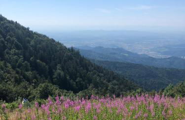 Ferienwohnung am Gässle - Foto 47