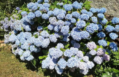 Gîte la petite maison - Foto 9