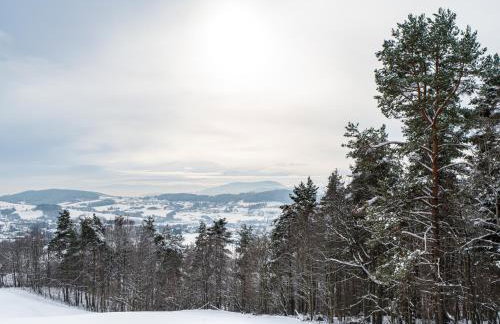 Łysogórska Polana Domki - Foto 3