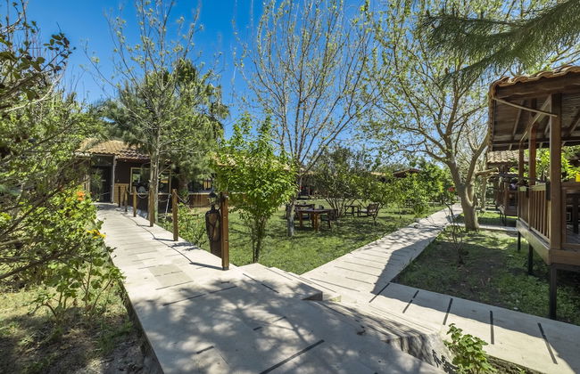 La Maison Hotel Çıralı - Foto 32