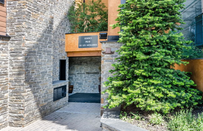 Apartamentos Prat De Les Molleres - Photo 9