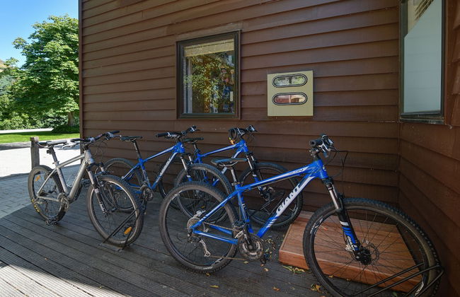 Manata Lodge - Photo 37