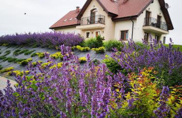 Apartamenty, Zielone Wzgórze Wiktora w Mikołajkach - Foto 1