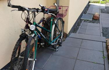 Chillkröte - Foto 35