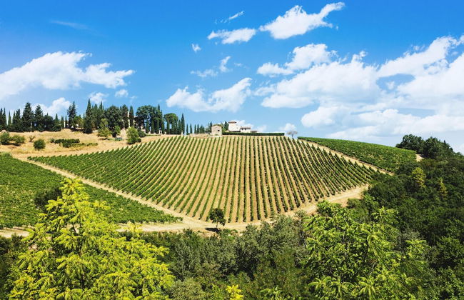 Palagio 21 in Chianti With Shared Pool - Photo 14