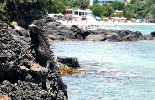 Visite à la découverte des plages de Saint Thomas - Photo 2