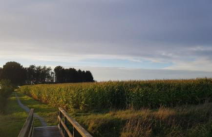 Ferienwohnung Utkiek - Foto 6