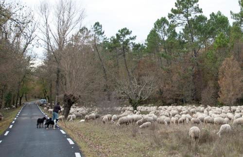 Villa in Provence with Pool and Garden - Foto 31