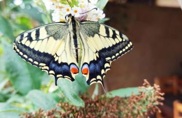 Gaia - Mare, Lago di Bolsena e Terme di Vulci - Foto 47