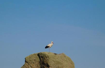 Casa Rural La Silla de la Reina - Foto 9