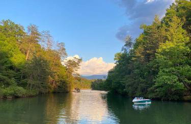 Ivy Cottage Cute Cottage Along The Ocoee River - Foto 38