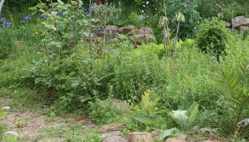 Ferienwohung zum Wasserfall - Foto 5