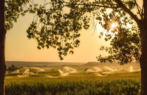 Descubre Somontano - Photo 37