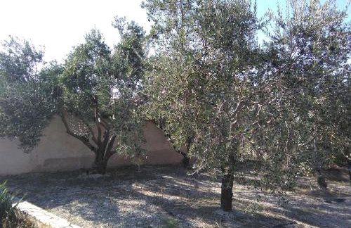 The Olive Garden - Foto 30