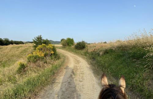 Le Gualchiere - Photo 40