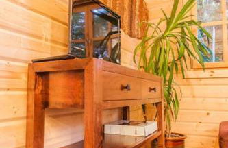 Family friendly sunny Log Cabin - Photo 15