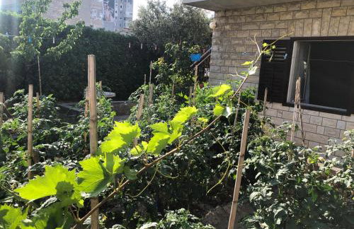 Garden apartman Split - Foto 29