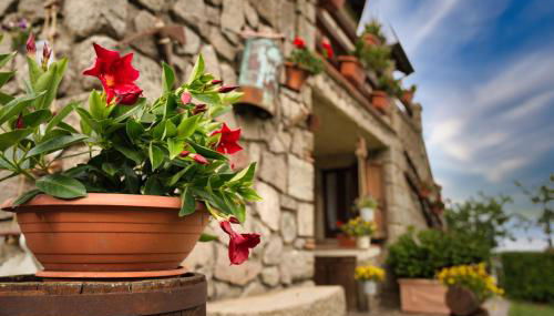 Agriturismo Biagiotti - Foto 2, Garden