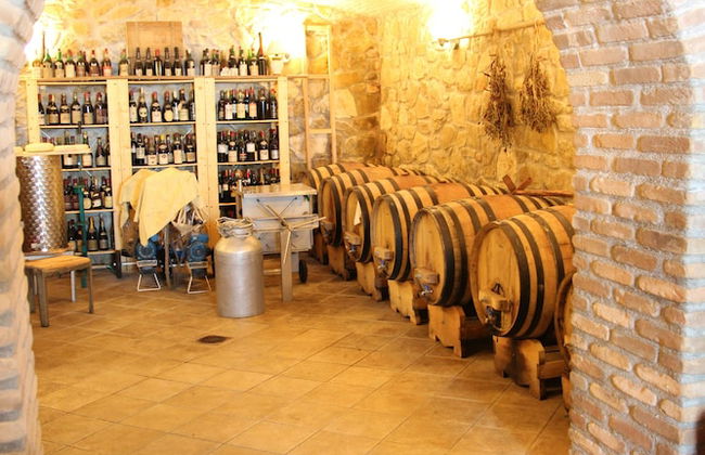 Agriturismo Olivastrella - Foto 34