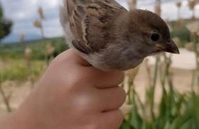 El Telar Arte y Naturaleza - Foto 8