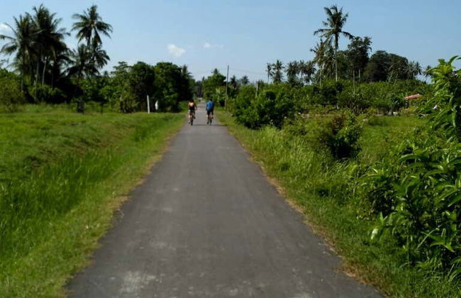 Visite à vélo dans Penang - Photo 4