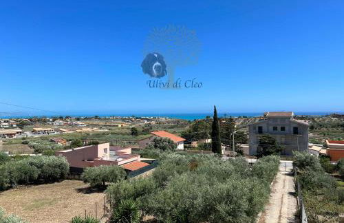 Ulivi di Cleo - Foto 7