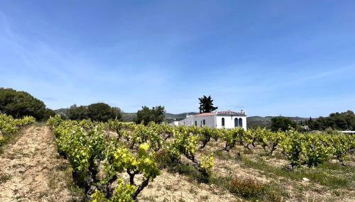 Masia St Salvador 1582 - Foto 5