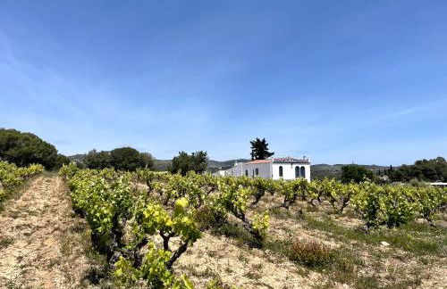 Masia St Salvador 1582 - Foto 5