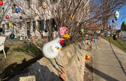 Landappartement Stritter - Photo 4