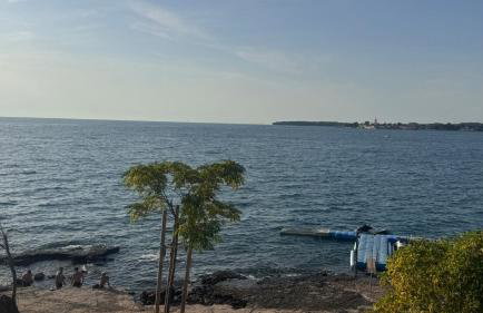 Fortuna Apartment - Foto 2