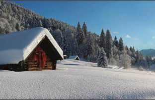 Beim Gschdoaga - Foto 29