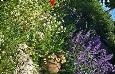 Cuda Wianki - Foto 43