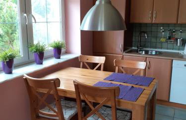 Kaszubiana direkt in der Natur - Photo 49