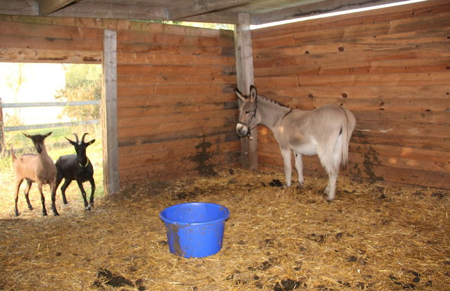 Sarl Logis du Grand Pin - Foto 77