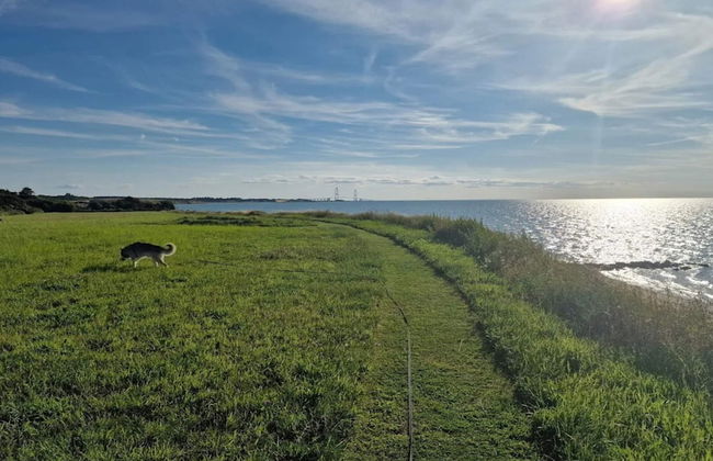 6 Person Holiday Home in Korsor - Photo 38