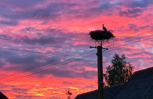 Magiczne Podlasie - Foto 43