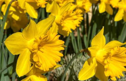 La Terrasse - Entire townhouse in hilltop village - Foto 17