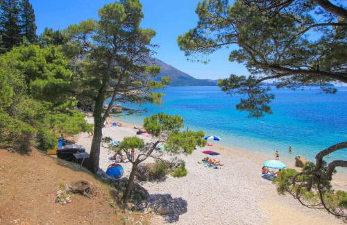 Harmony-two bedroom apartment - Foto 24