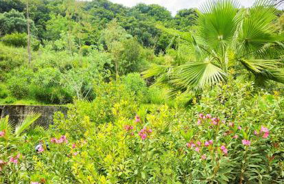 Okeanis Apartments & Suites Adults Only - Foto 46