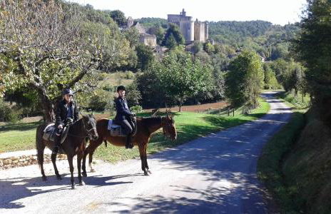 ferme équestre des abrons - Foto 25