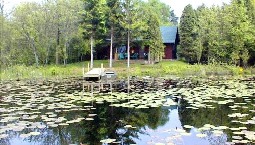 Rustic Cabin Rental on a Wildlife Sanctuary in Manistee, Michigan - Foto 2