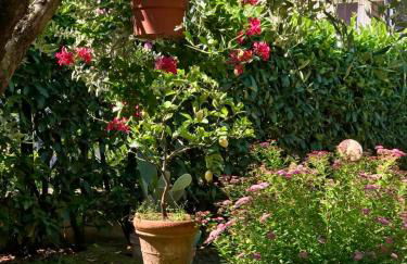 The yellow house - Foto 6