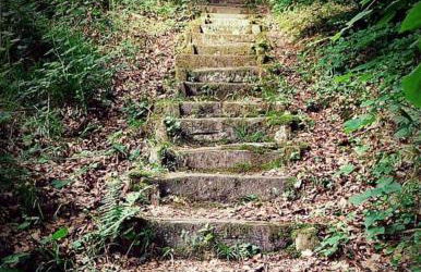 La Parenthese Bois de Cise - Foto 39