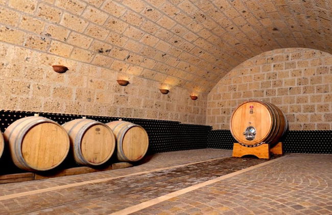 Fattoria Lucciano - Foto 38